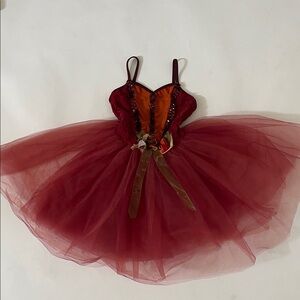 Charming Burgundy Kids Dance Costume